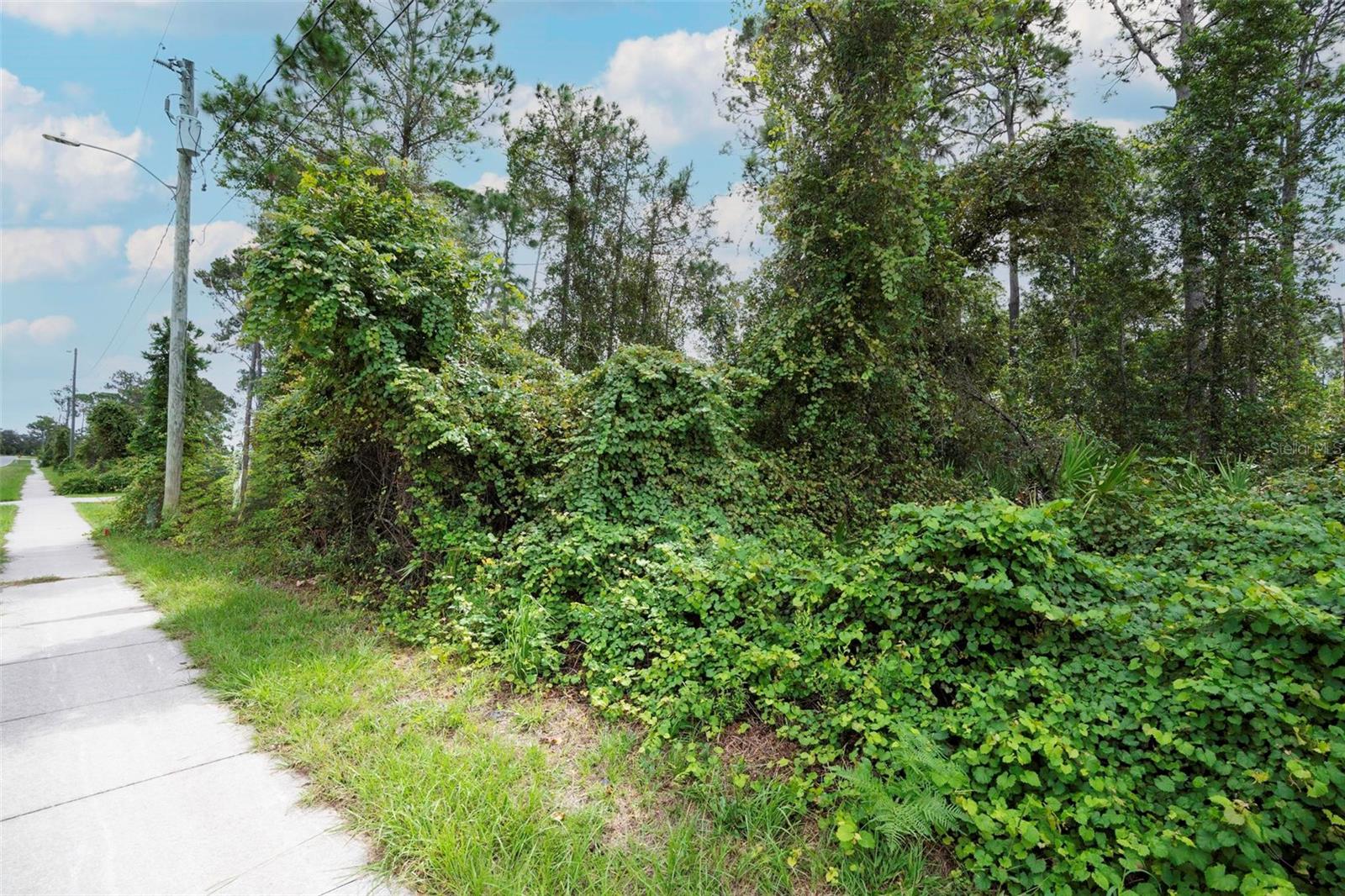 DELTONA LAKES UNIT 54 - Land