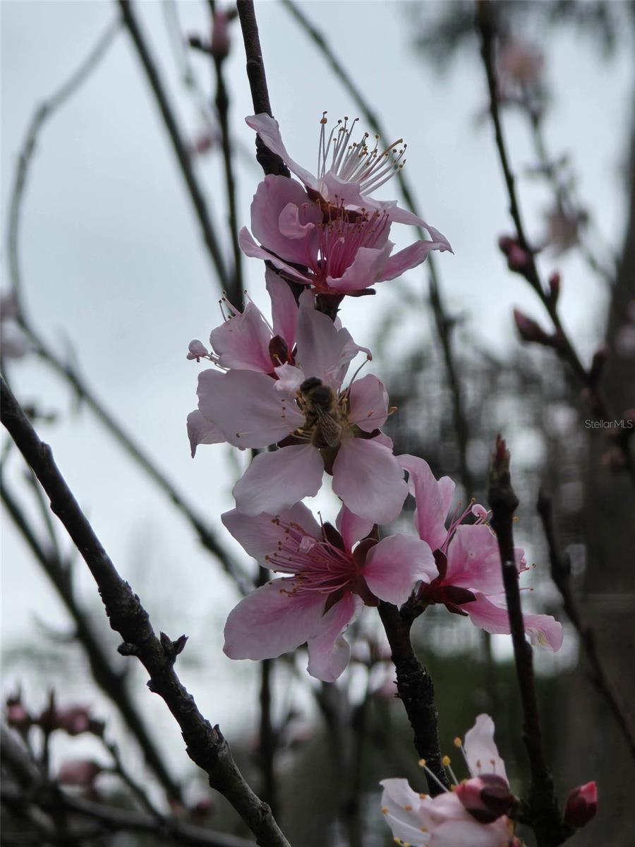 HELENA HEIGHTS - Residential