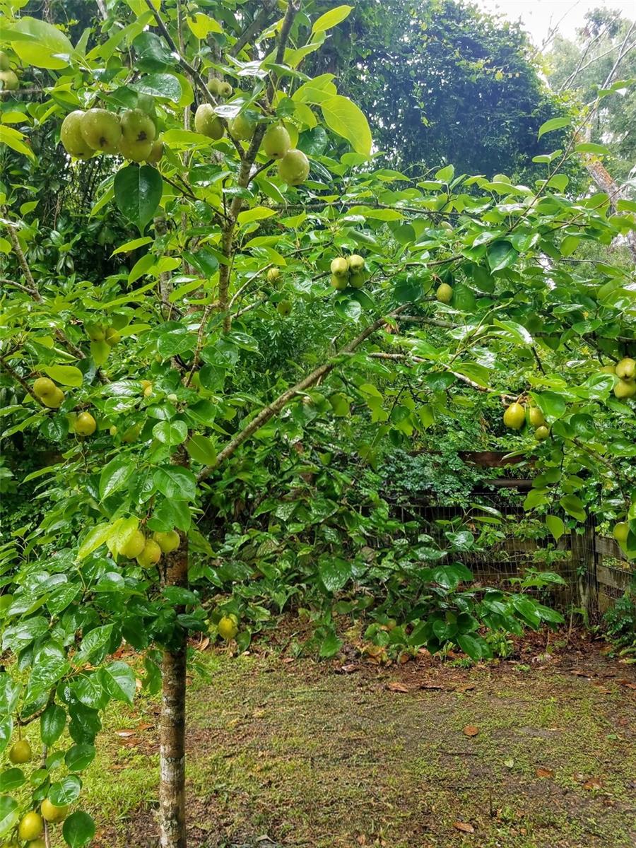 HELENA HEIGHTS - Residential