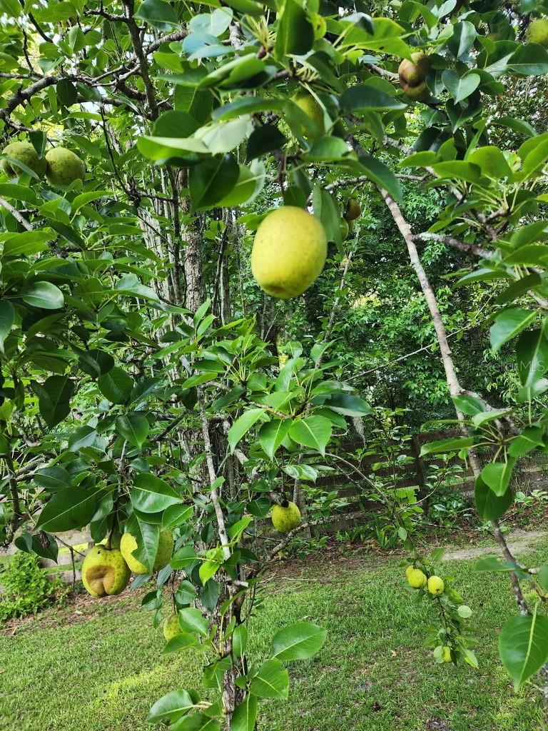 HELENA HEIGHTS - Residential