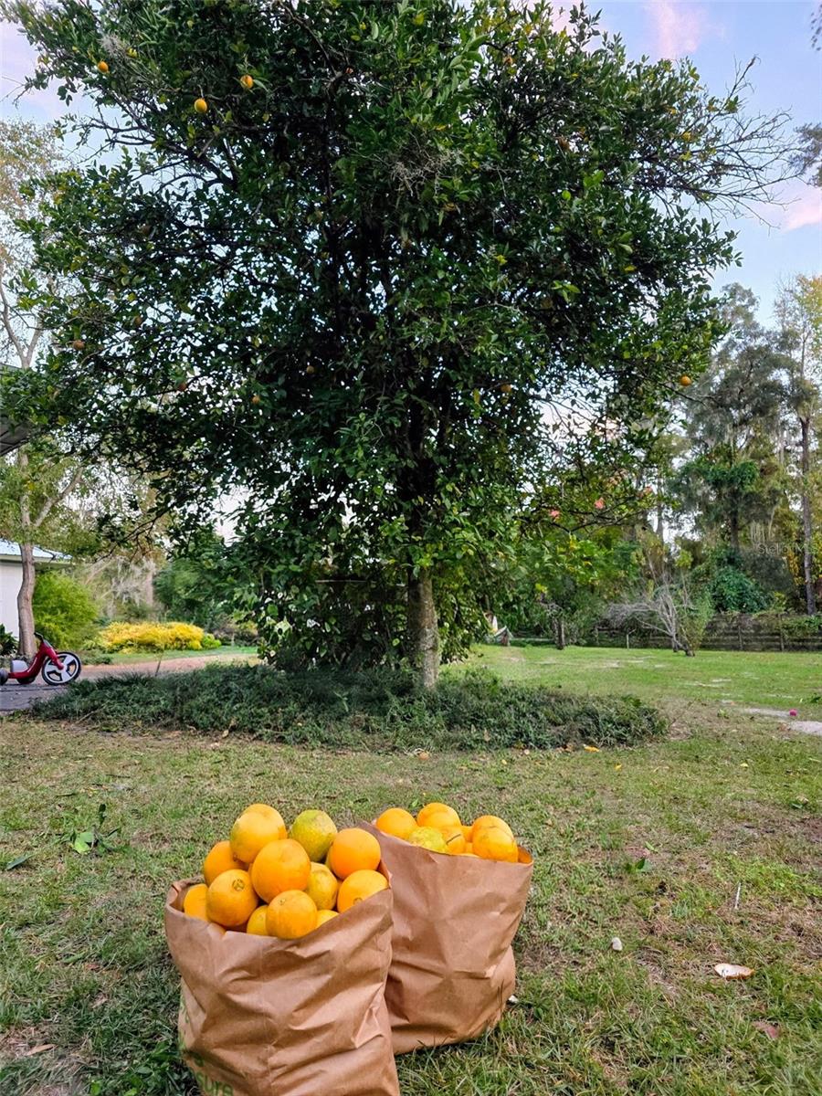 HELENA HEIGHTS - Residential