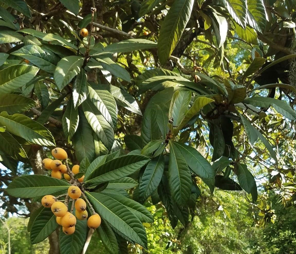 HELENA HEIGHTS - Residential