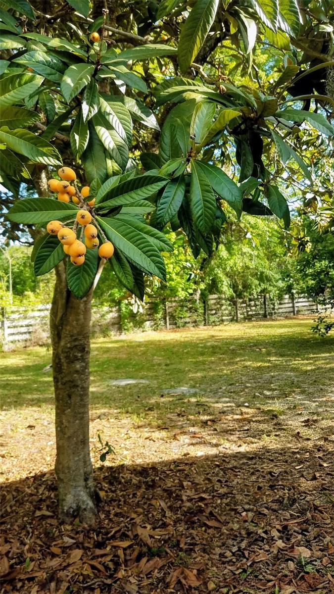 HELENA HEIGHTS - Residential