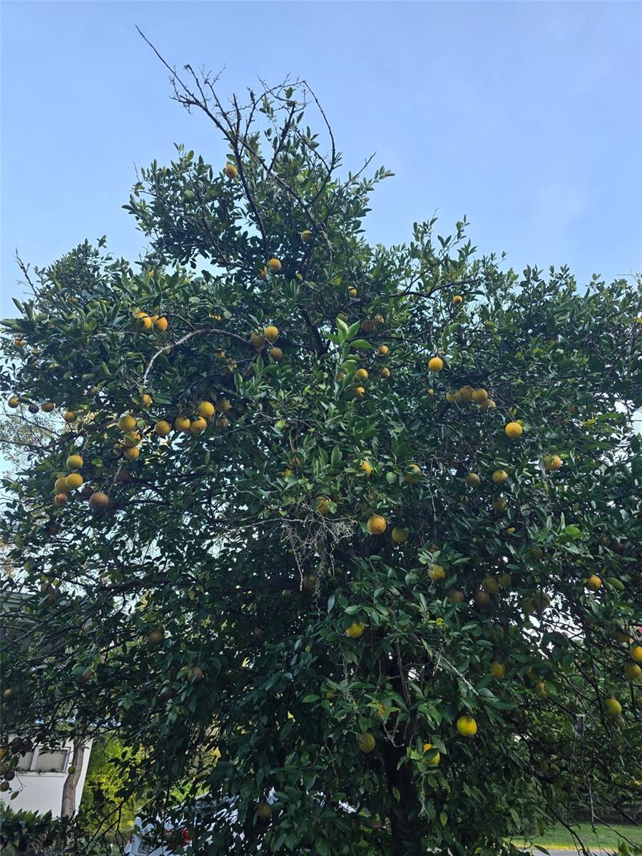 HELENA HEIGHTS - Residential