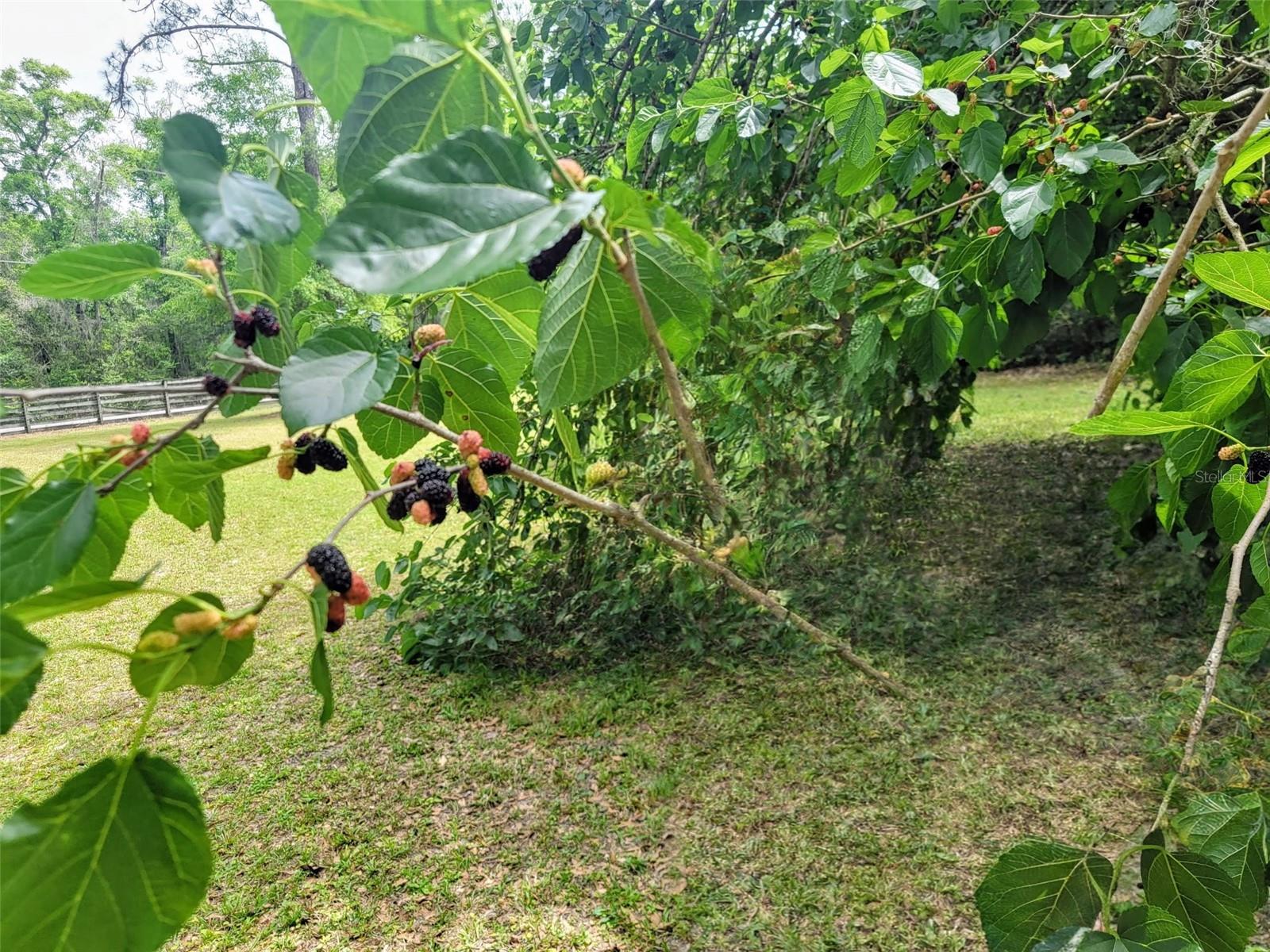 HELENA HEIGHTS - Residential