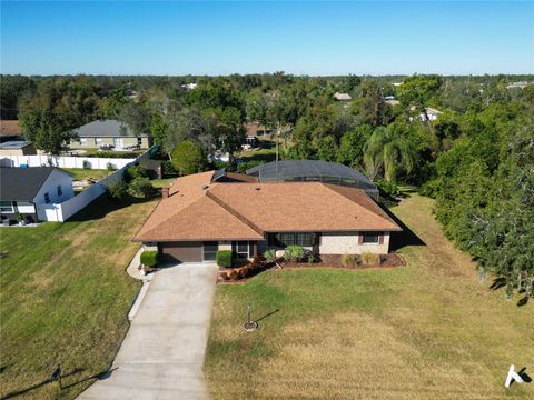 A home in DELTONA