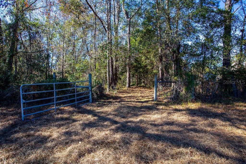 Photo of Tbd 99th Avenue, Lake Butler, FL 32054 (MLS # GC536849)