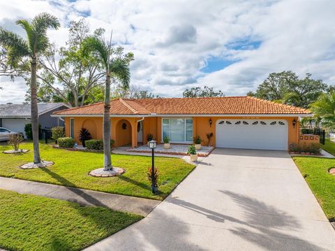 A home in SEMINOLE