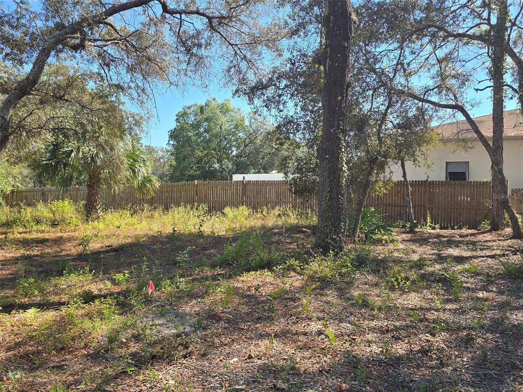 Photo of 12437 Harris Hawk Road, Weeki Wachee, FL 34614 (MLS # W7880394)