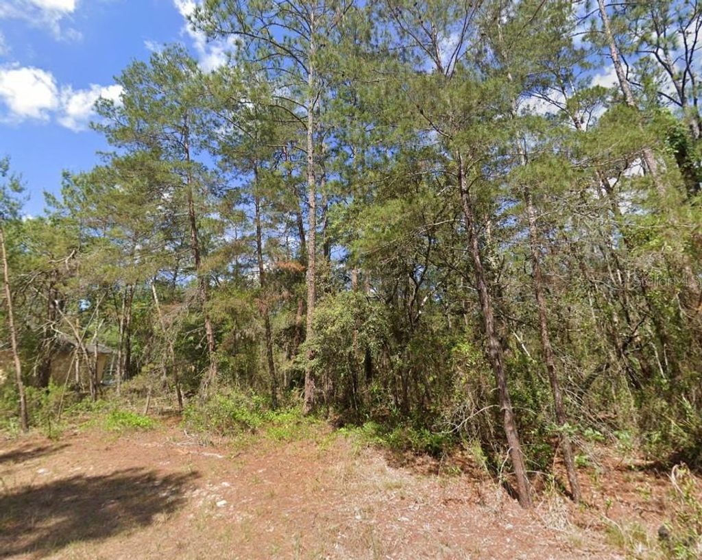 Photo of 15 Petunias Court, Homosassa, FL 34446 (MLS # TB8496719)