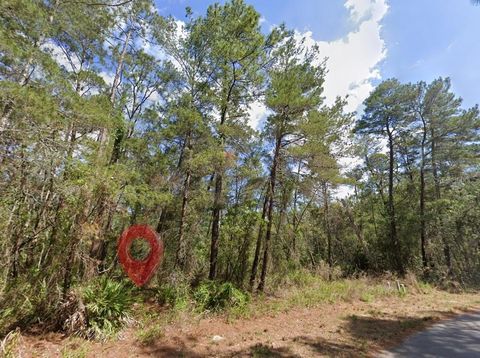 Tiny photo for 15 Petunias Court, Homosassa, FL 34446 (MLS # TB8496719)