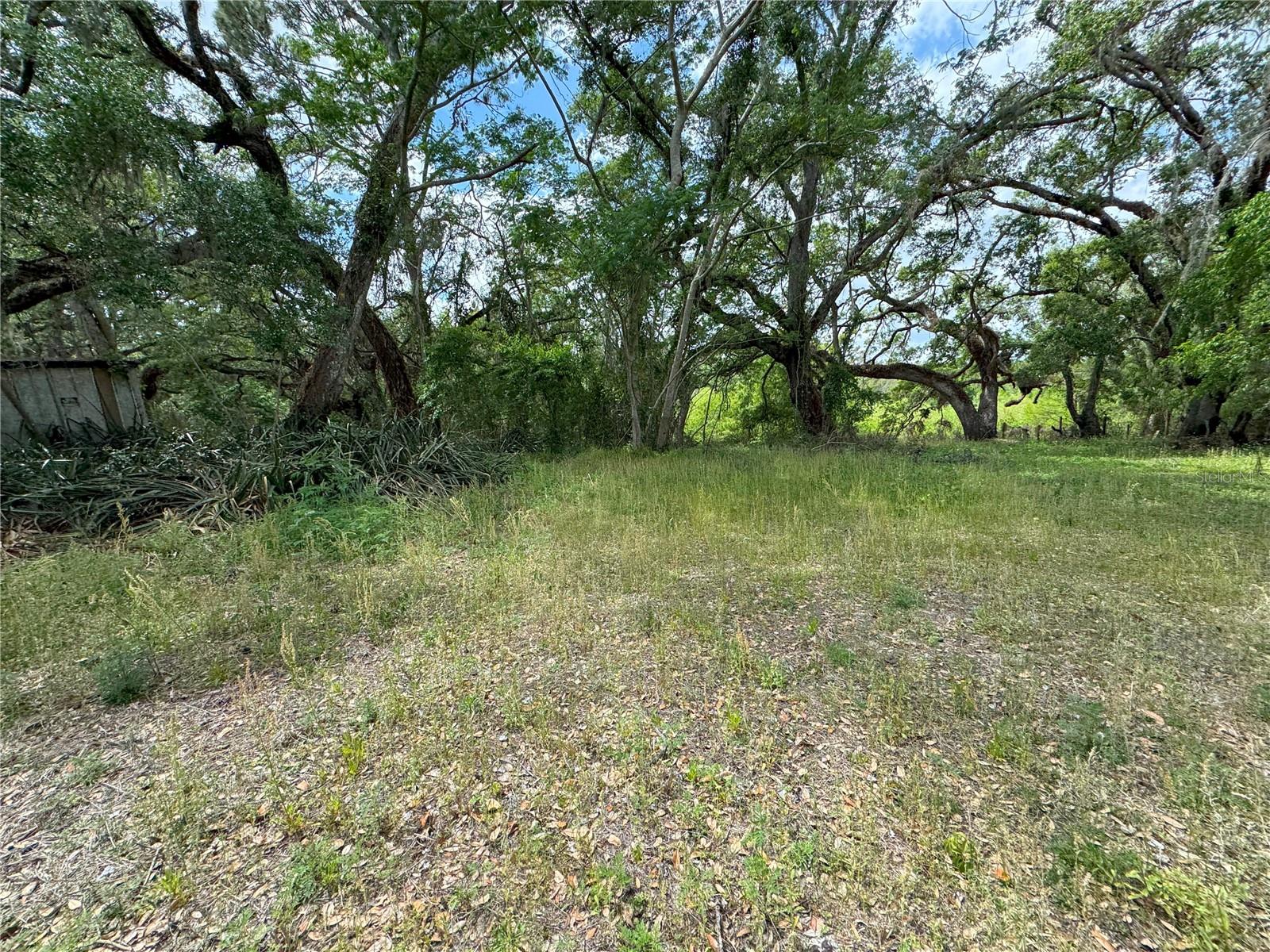 Prime Vacant Lot in Dade City – Ready for Your Vision! Discover the perfect opportunity to build your dream home or investment property on this cleared vacant lot in the heart of Dade City! Located on the outskirts of town, this property offers a peaceful setting while remaining conveniently close to local attractions. Just 16 miles from Antiques on Main Street and near the scenic Withlacoochee River, you'll enjoy the charm of small-town living with easy access to outdoor recreation, shopping, and dining. This lot features a septic system already in place, saving you time and expense in the building process. With established neighbors on both sides, utilities are nearby and ready to connect. Whether you're looking to build a home, place a mobile home, or hold it as an investment, this lot provides endless possibilities. Don't miss this rare opportunity—schedule a visit today!