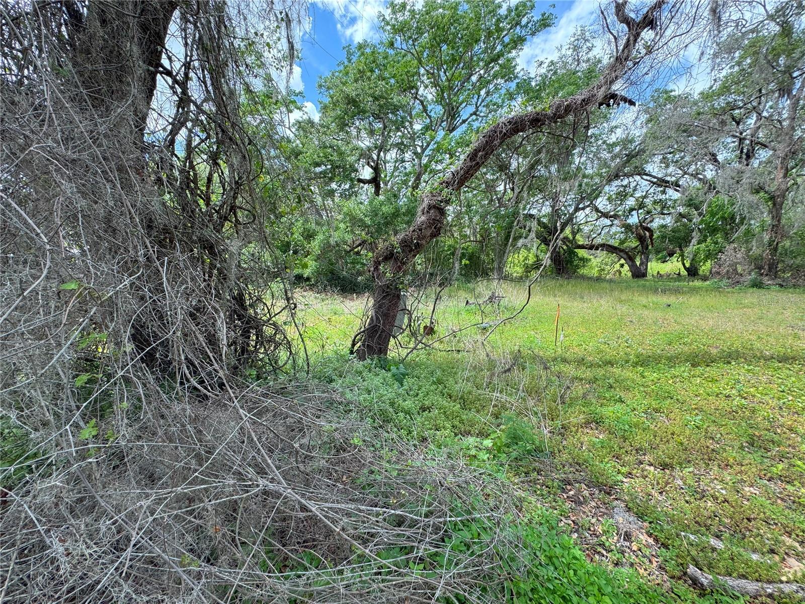TALISMAN ESTATES - Land