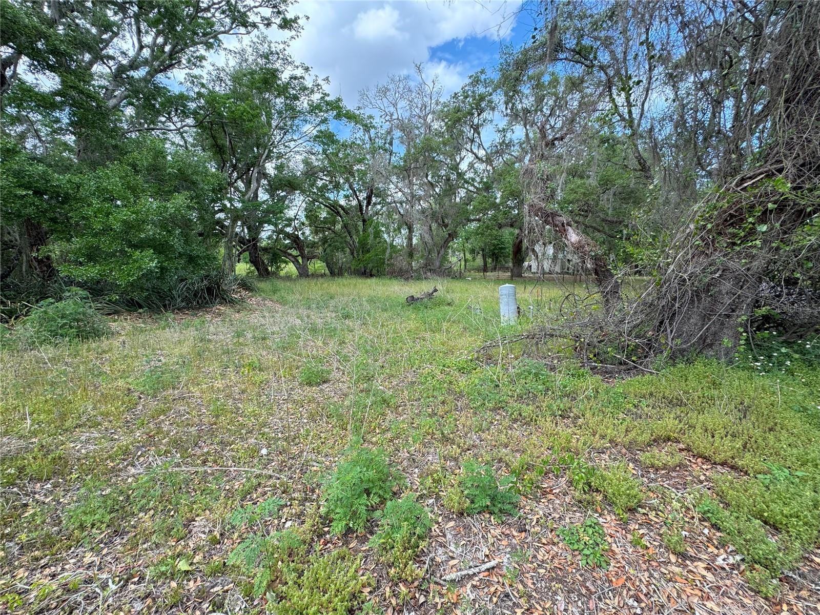 TALISMAN ESTATES - Land