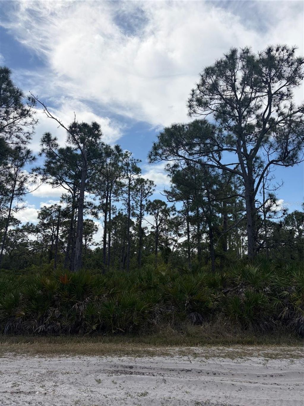 Photo of 28078 Ramiro Drive, Punta Gorda, FL 33955 (MLS # C7524874)