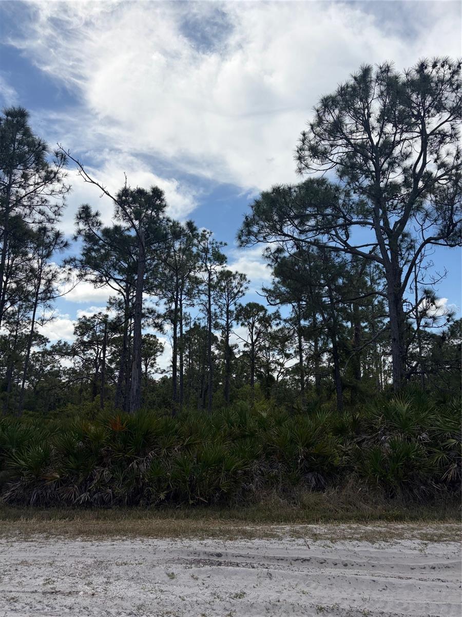 TROPICAL GULF ACRES - Land