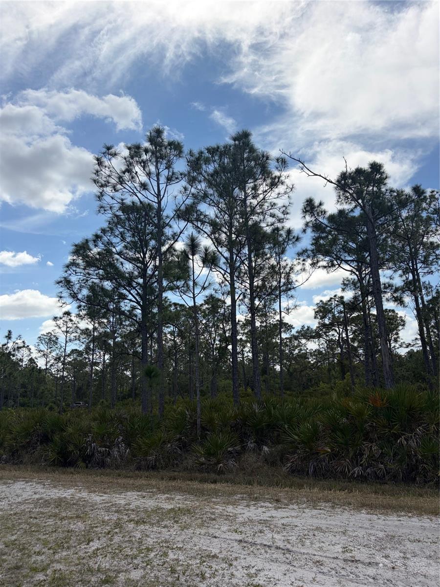 TROPICAL GULF ACRES - Land