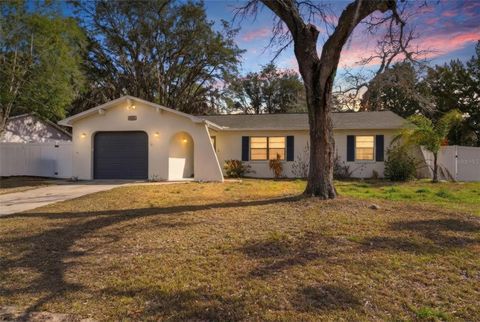 5236 DERBY AVENUE SPRING HILL FL 34608