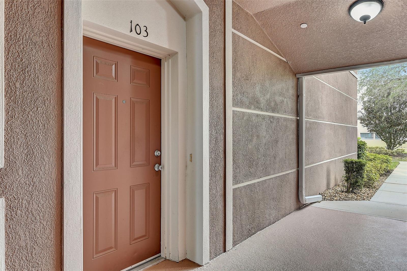 8296 PORTOFINO DRIVE 103