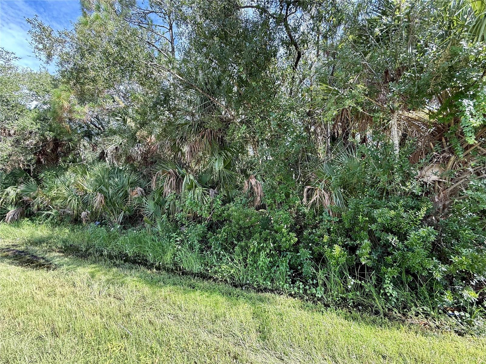 Looking for that perfect piece of land to build your slice of paradise on? Here's a great lot in this up-and-coming area of Port Charlotte! Electric nearby, and no need to worry about mitigating Scrub Jays as property is NOT located in a habitat. Bring all your toys...store your RV, boat, kayaks, put up a detached garage, shed for an art studio, trampoline, or treehouse, doesn't matter as this is a non-deed restricted area of Charlotte County! And of course, what could be more Florida than having your own pool which the property has plenty of room for! Property is close to all amenities including sandy beaches & crystal waters of Englewood & Boca Grande Beaches, Golf Courses, boat launches, minutes from the Spring training Rays Stadium that hosts 31 games against the Yankees, Red Sox, Braves, Mets & more. Great local builder with floorplans of 3 bedroom 2 bathroom homes with 10’ ceilings, 8’ doors porcelain plank flooring throughout, Quartz/Granite, lighting & fans, appliances, impact windows…all-inclusive pricing starting at $320,000. Call today for more information!