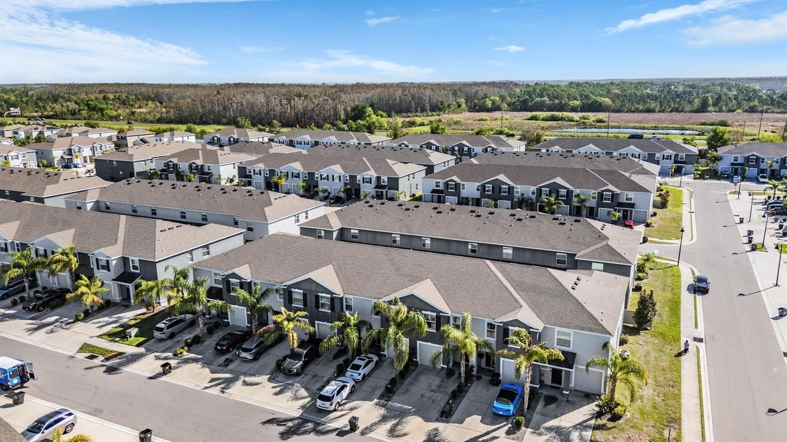 SOUTH BRANCH PRESERVE - Residential