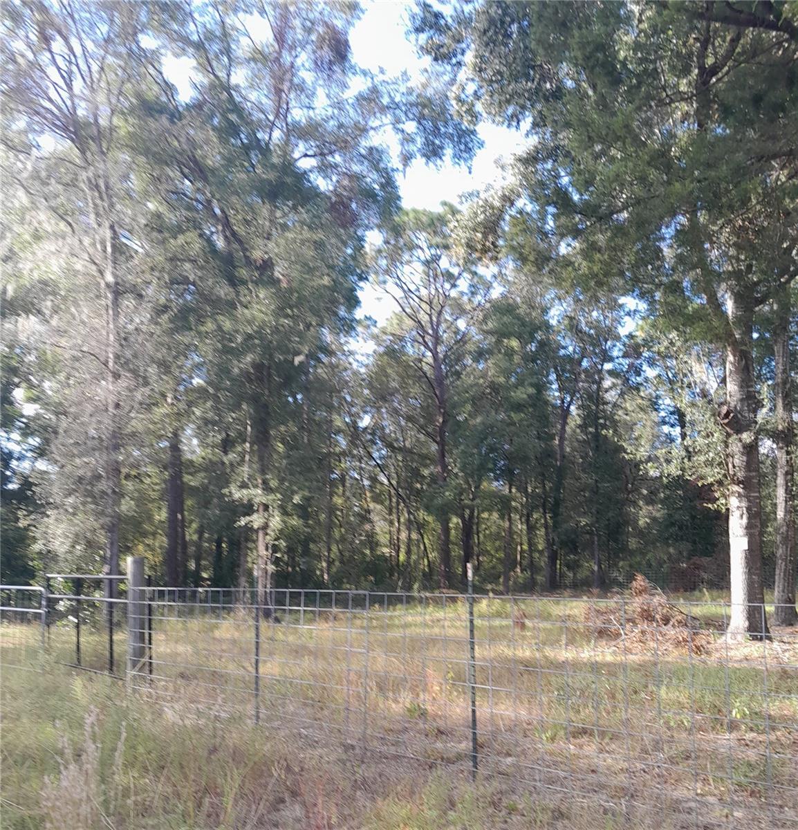 WILLISTON HYLNDS GOLF & C CLUB ESTATE - Land