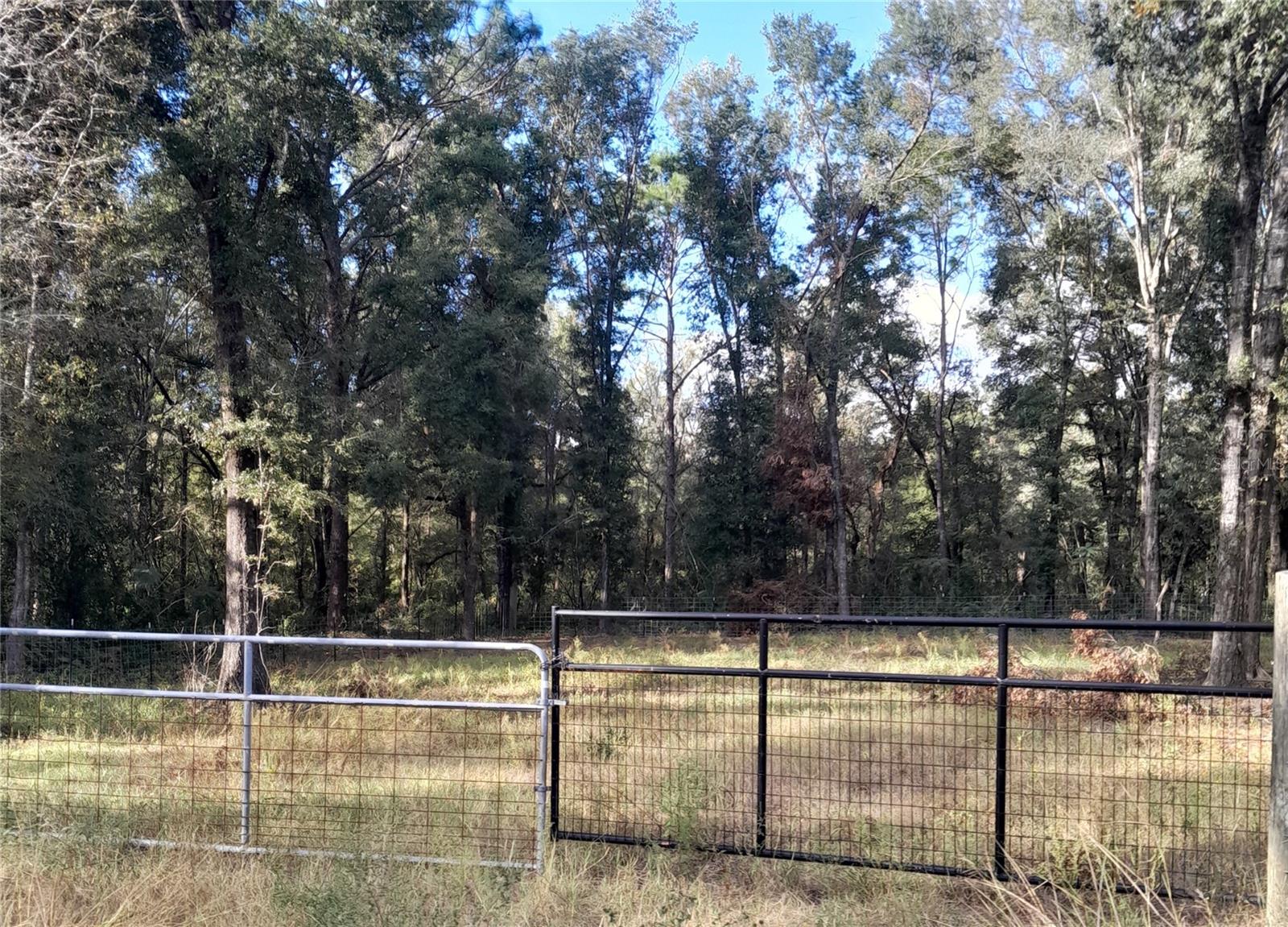 WILLISTON HYLNDS GOLF & C CLUB ESTATE - Land