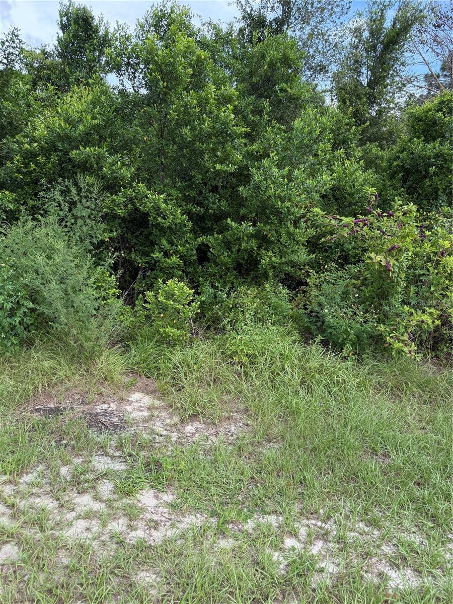 Build your dream home on this beautiful .30-acre residential lot located in the heart of Spring Hill. Nestled in a well-established community, this property offers the perfect blend of tranquility and convenience.
Highlights: Spacious .30-acre lot with room for your ideal floor plan, pool, or outdoor living space. Situated in a desirable residential neighborhood with paved road access. Convenient to shopping, dining, medical facilities, and everyday essentials. Quick access to major roadways for an easy commute to Tampa, or the Gulf Coast. Close to schools, parks, and recreational activities. This is a wonderful opportunity to create a custom home in a prime location close to everything Spring Hill has to offer. Don’t miss your chance to secure this lot and start building your vision today!