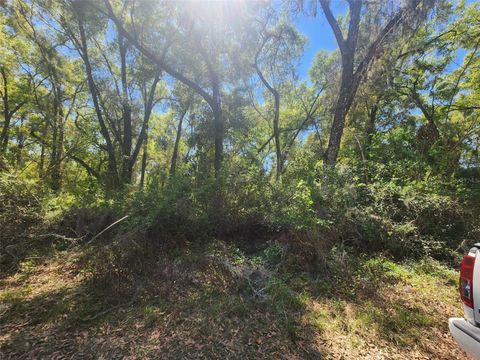 SE 28TH CT. SUMMERFIELD FL 34491