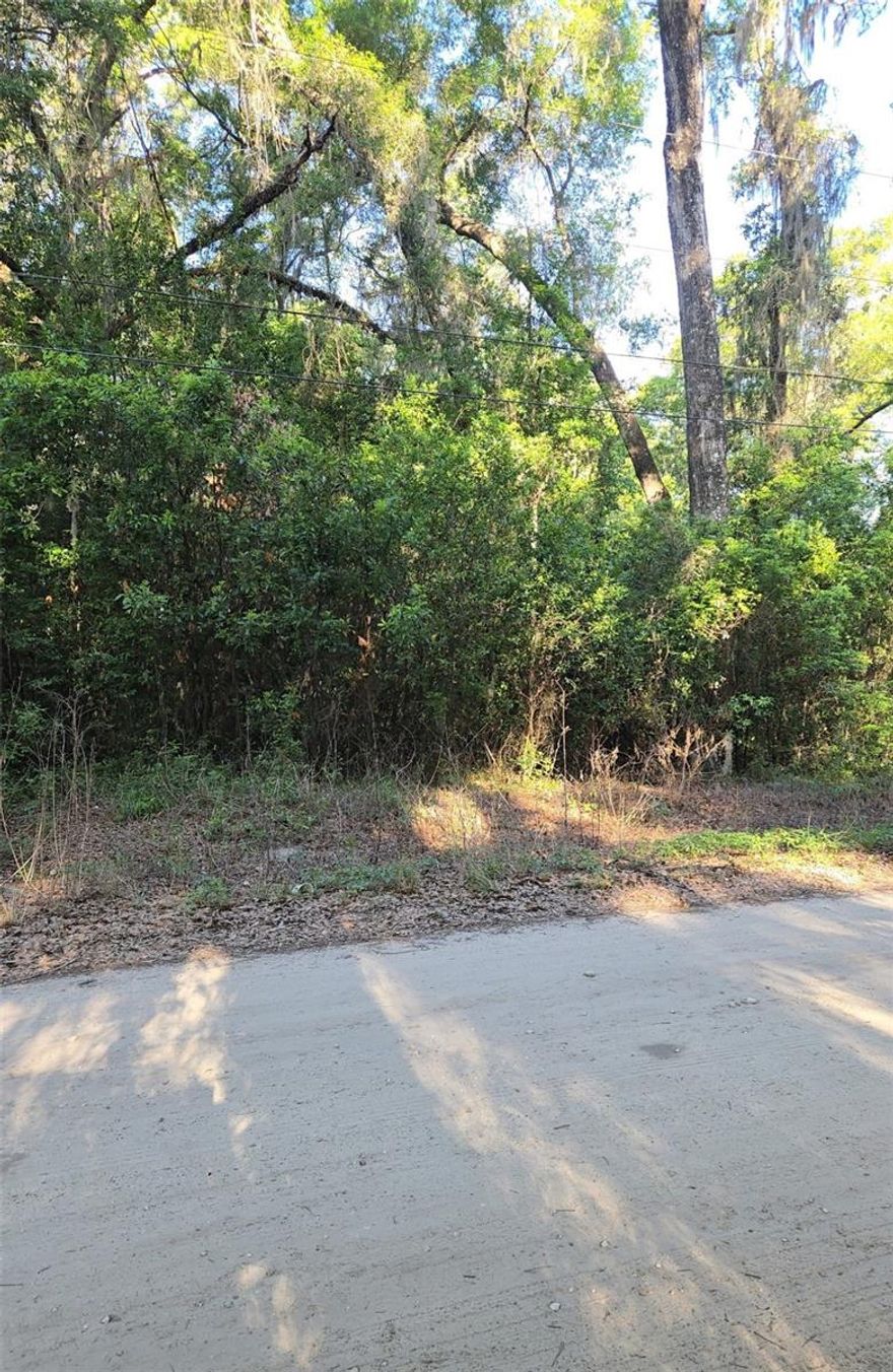 This property is ready for clearing and build in the quiet neighborhood located in Belleview Heights.  A short drive from the Villages, Belleview and I-75.