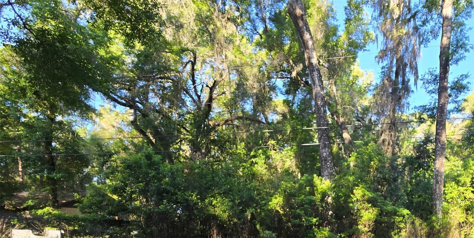 BELLEVIEW HEIGHTS ESTATE - Land