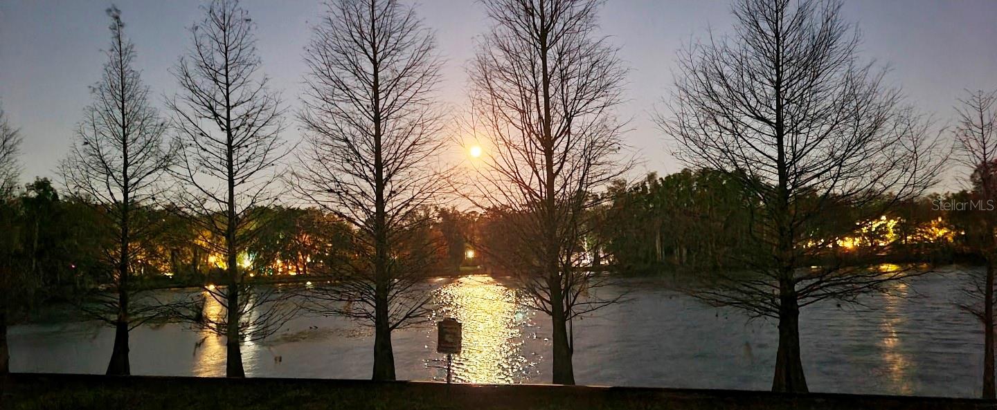 MAGDALENE RESERVE 2 - Residential