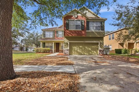 11125 RUNNING PINE DRIVE RIVERVIEW FL 33569