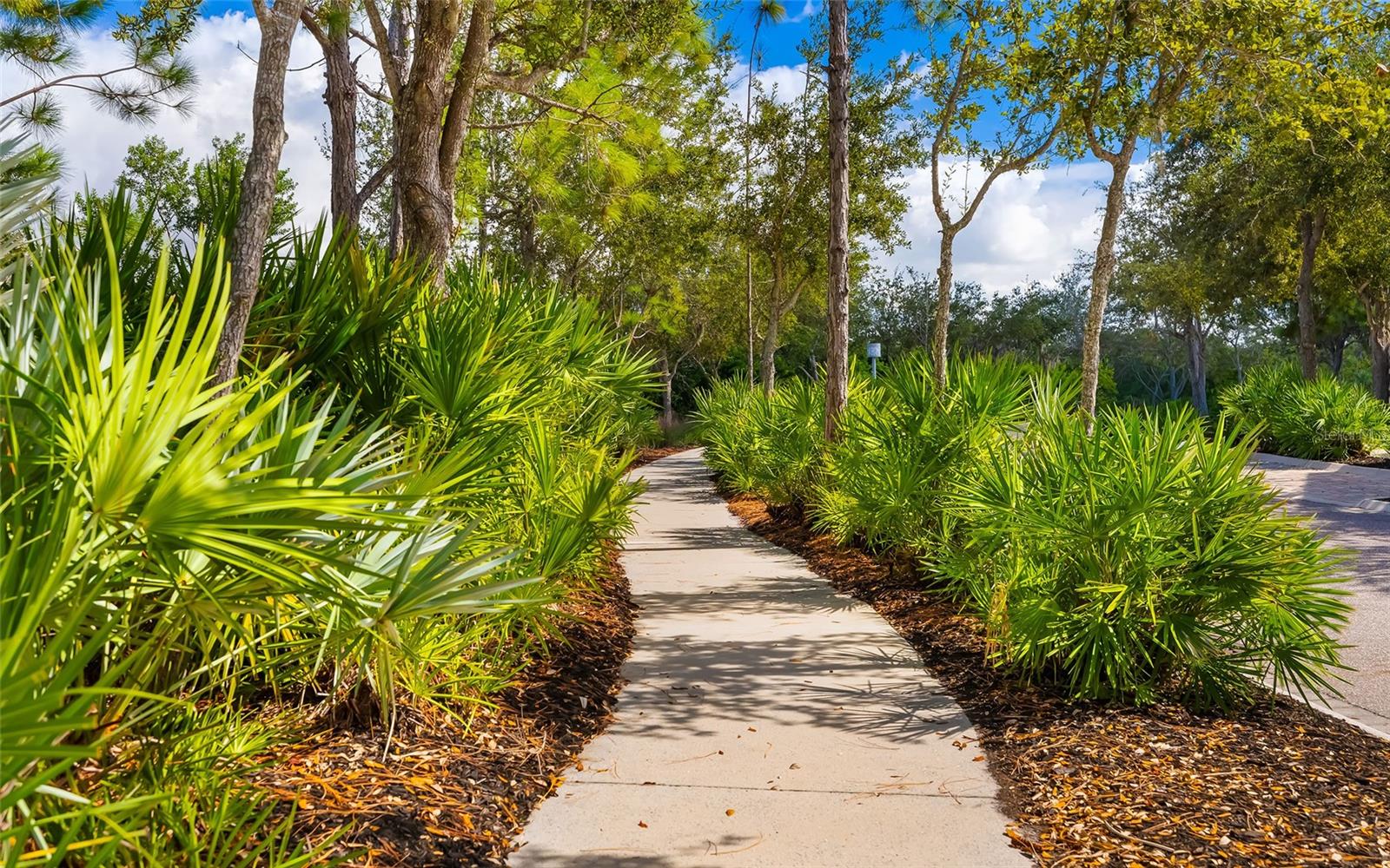 MANGROVE WALK ON HARBOUR ISLE PH 4 - Residential
