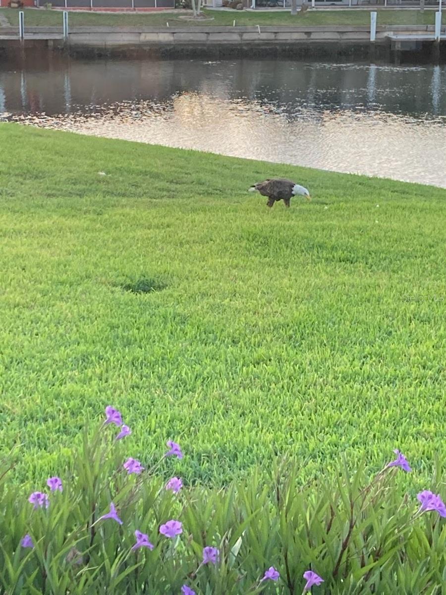 PUNTA GORDA ISLES SEC 14 - Residential