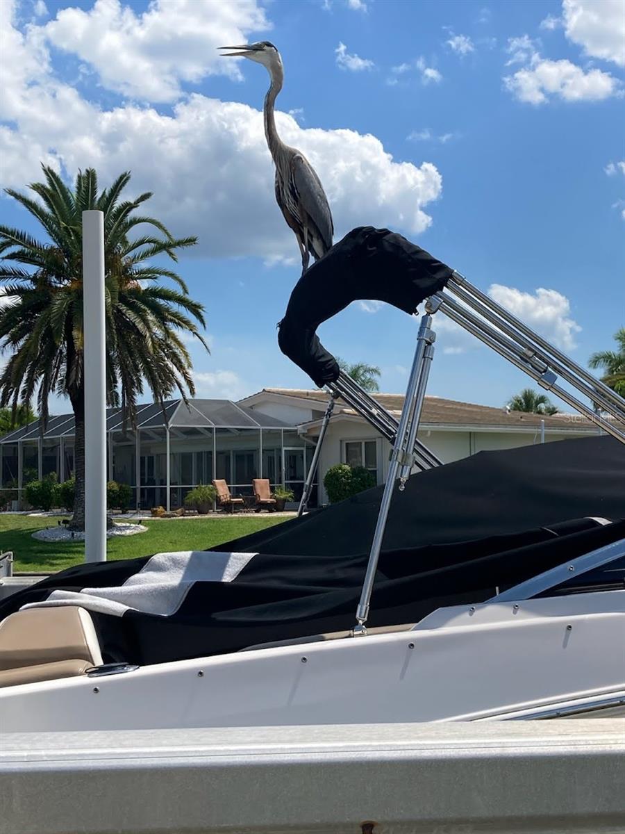 PUNTA GORDA ISLES SEC 14 - Residential