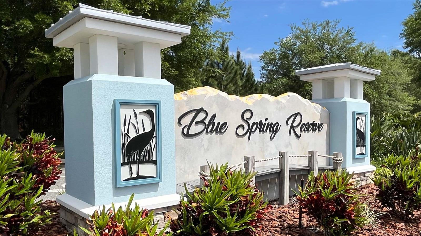 BLUE SPRINGS RESERVE TOWNHOMES PHASE 1 - Residential