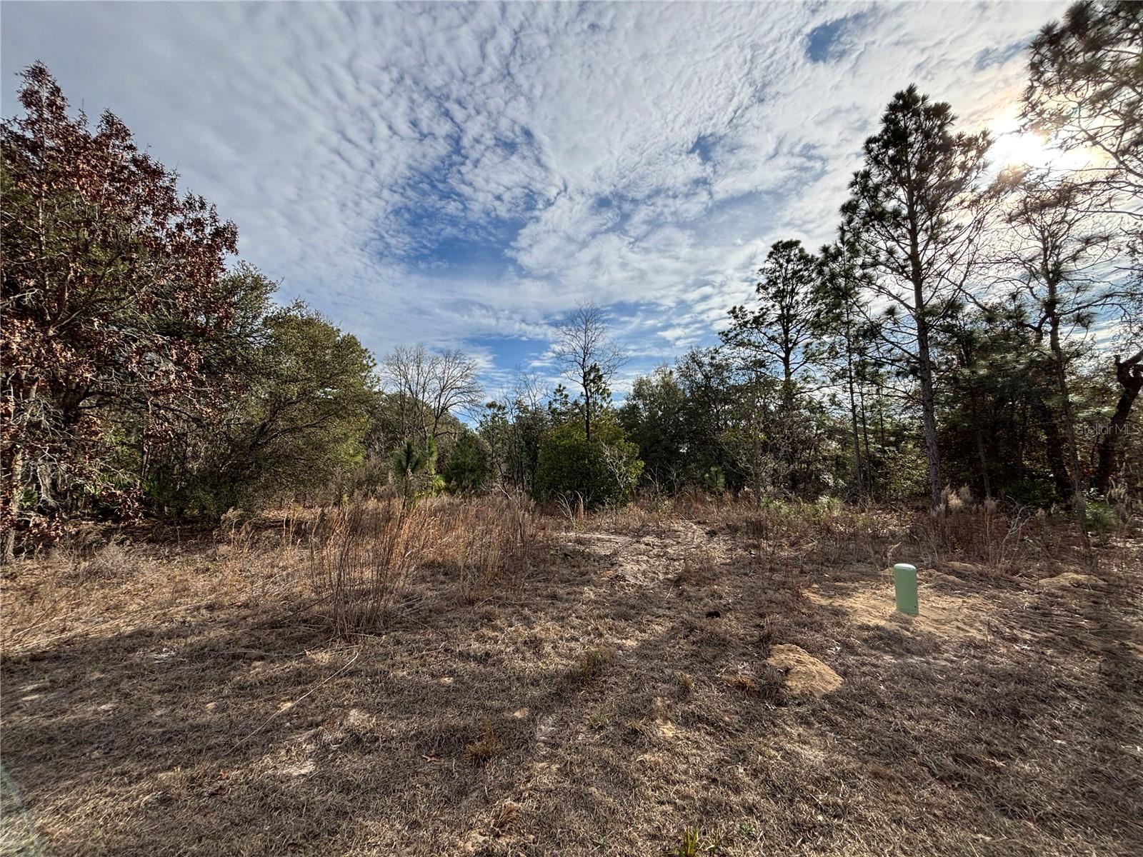 CITRUS SPGS UNIT 23 - Land