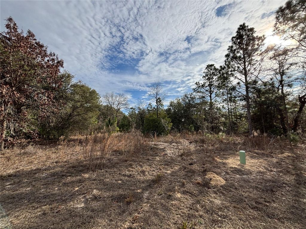 Photo of 6505 N Varsity Avenue, Citrus Springs, FL 34434 (MLS # O6376349)