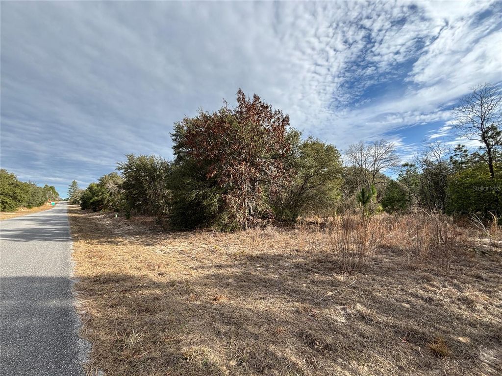 Photo of 6505 N Varsity Avenue, Citrus Springs, FL 34434 (MLS # O6376349)