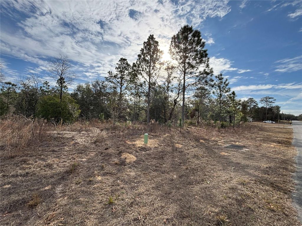 Photo of 6505 N Varsity Avenue, Citrus Springs, FL 34434 (MLS # O6376349)