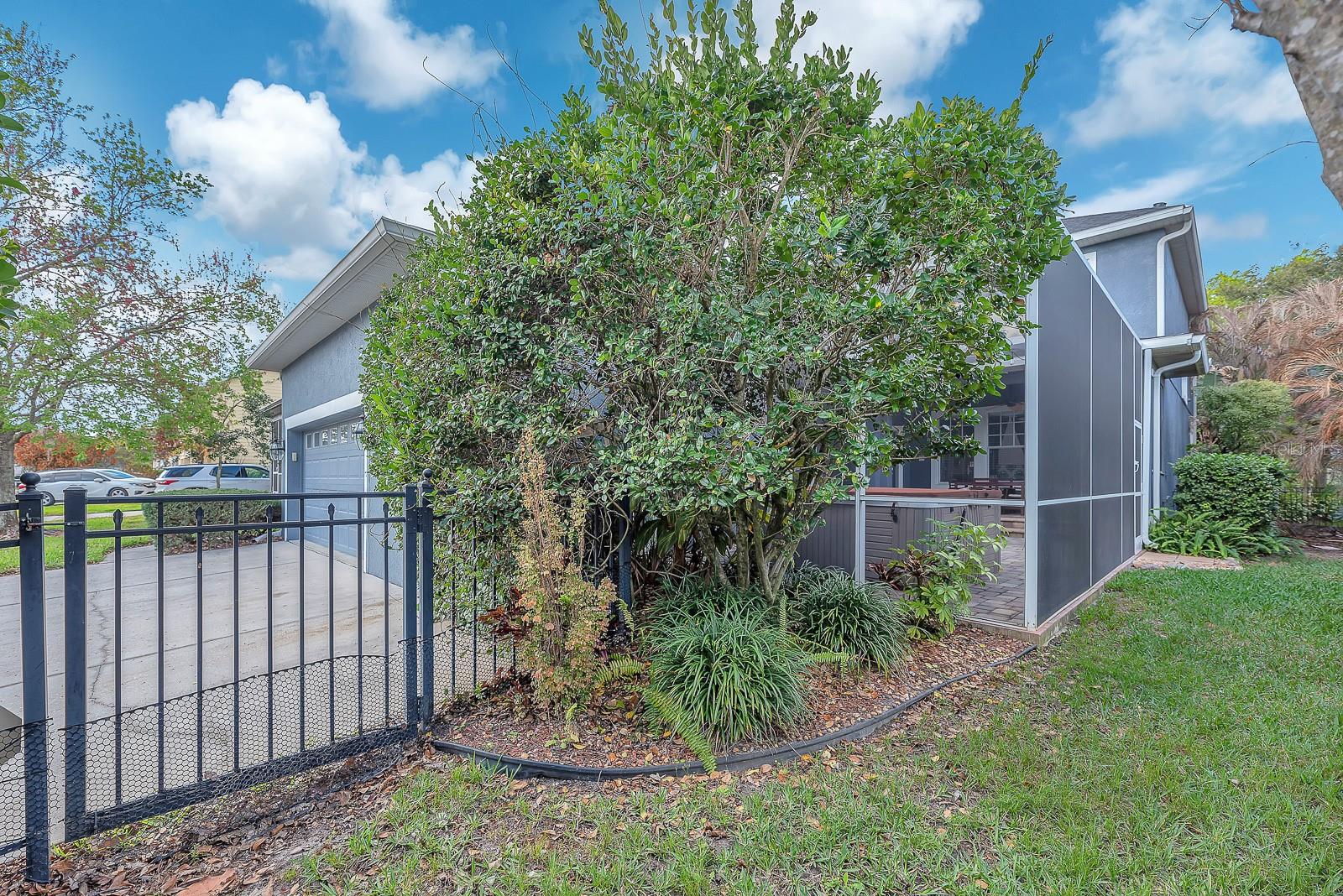 FISHHAWK RANCH TOWNCENTER PHAS - Residential