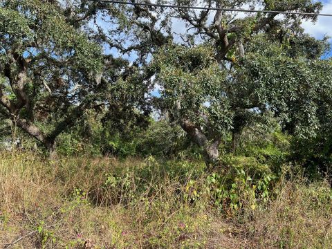 9342 LABELLE STREET NEW PORT RICHEY FL 34654