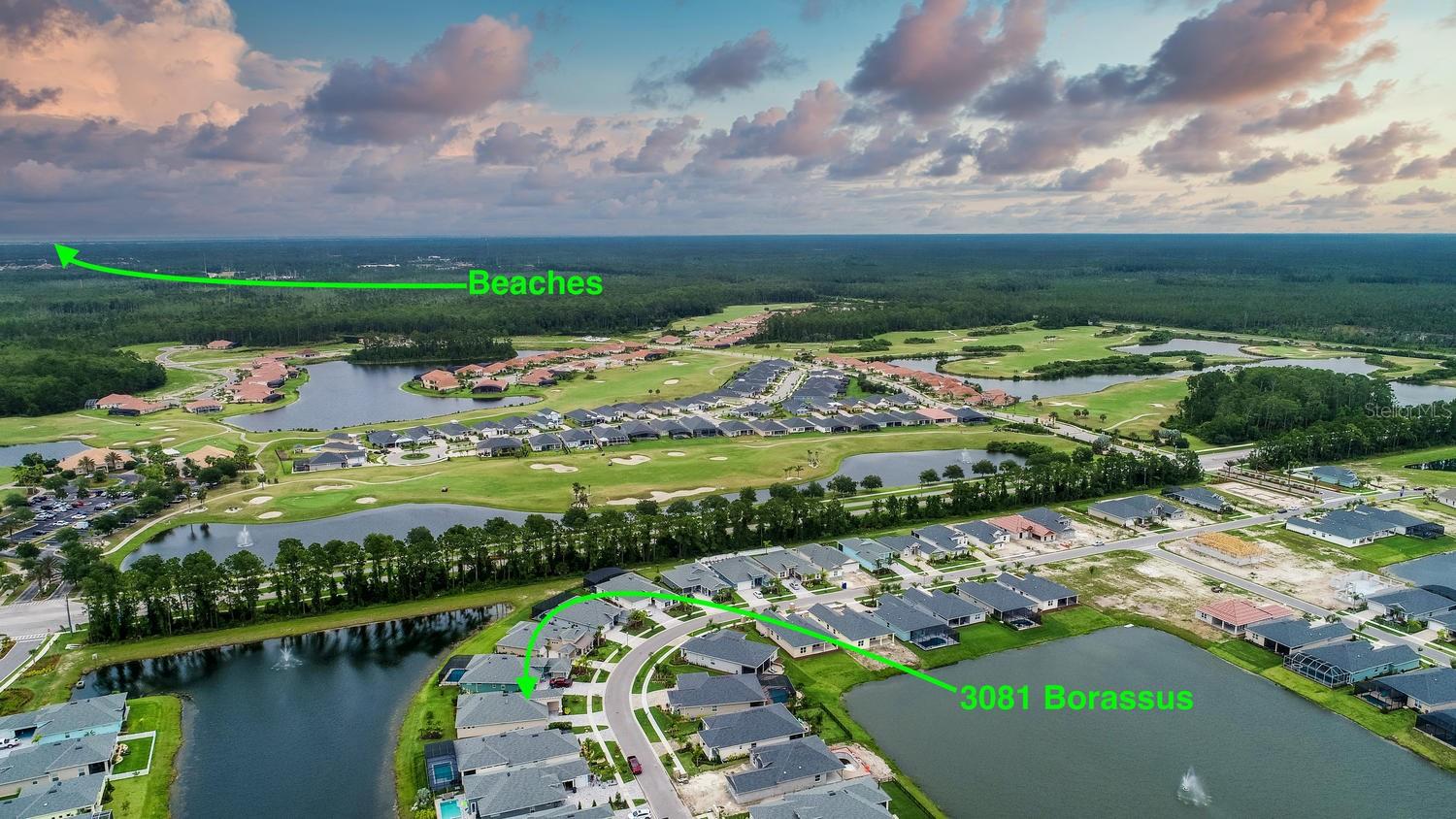 Palms-Ph 1 - Residential