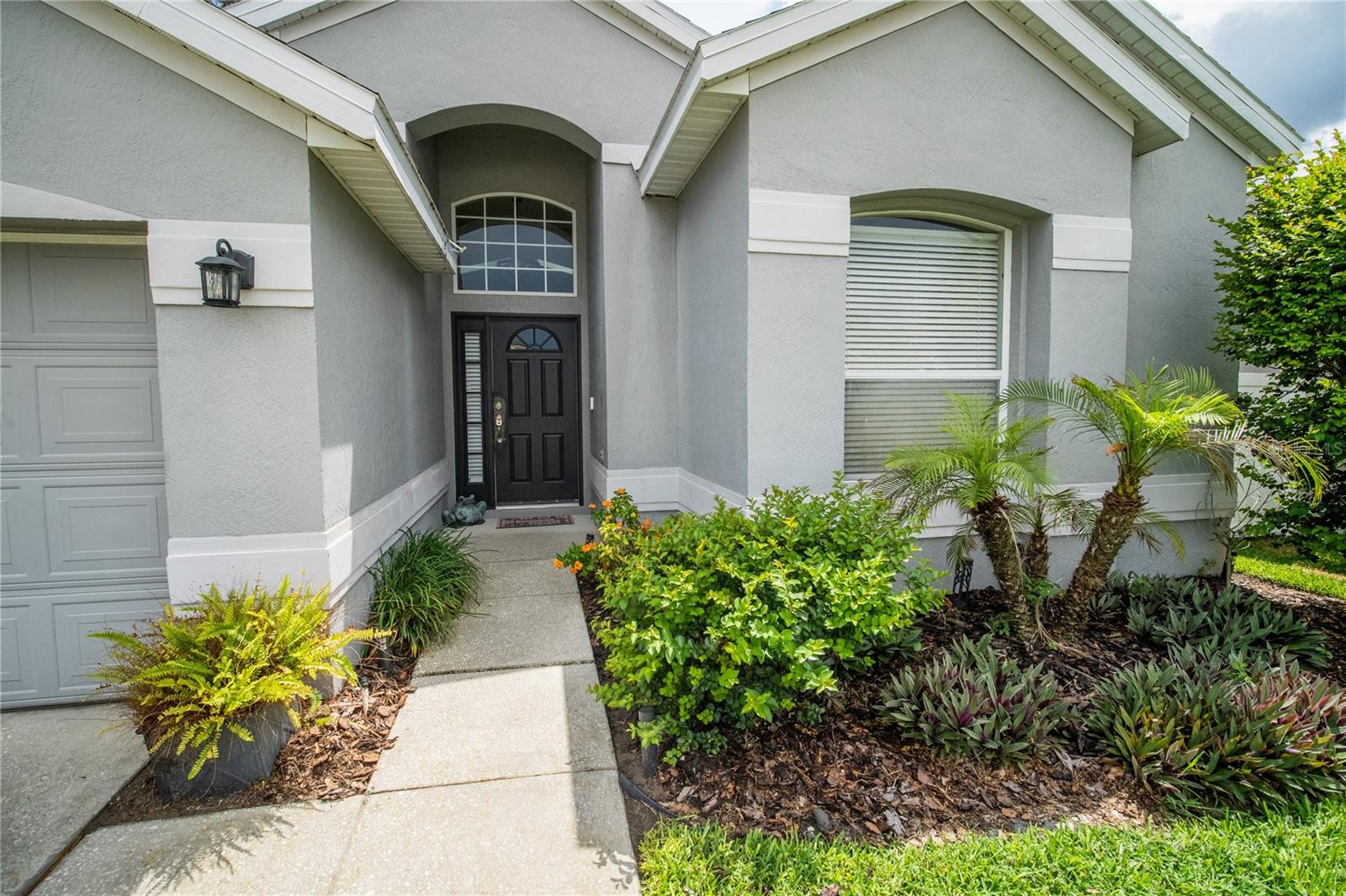 6 PIED COURT