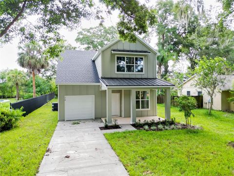 A home in MOUNT DORA