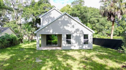 A home in MOUNT DORA