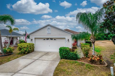 10602 NAVIGATION DRIVE RIVERVIEW FL 33579
