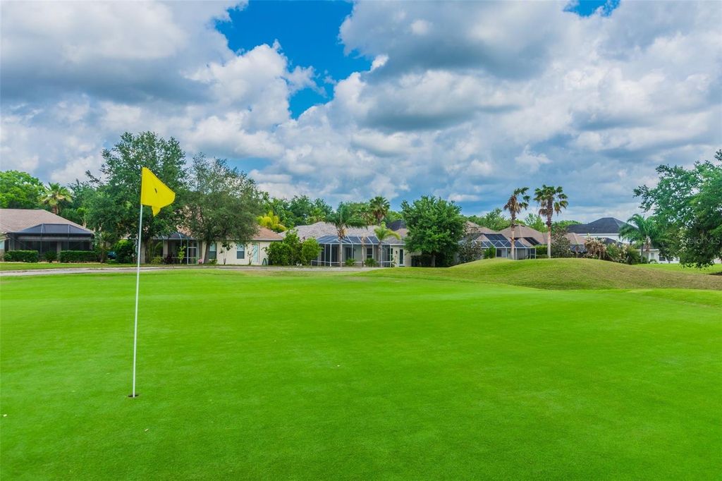 Photo of 3216 Sago Point Court, Land O Lakes, FL 34639 (MLS # TB8505972)