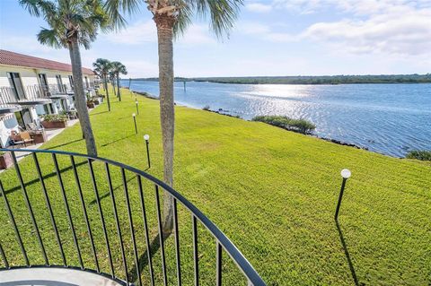 A home in FLAGLER BEACH